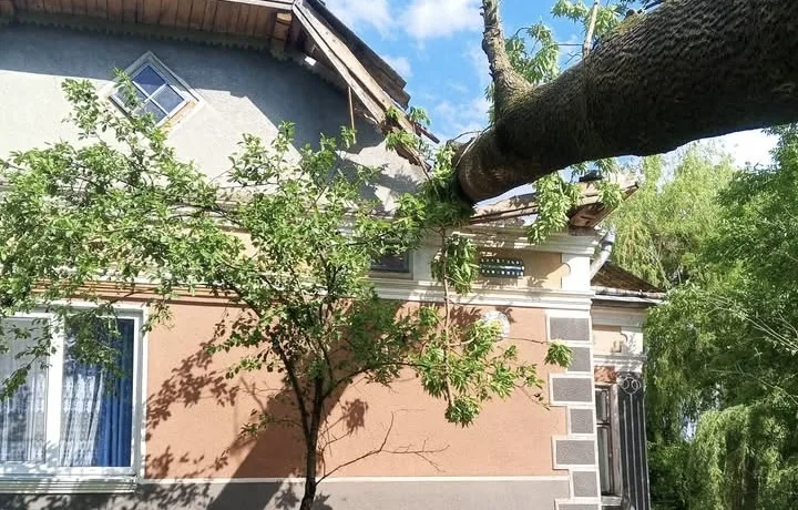 У Козівській громаді дерево пошкодило будинок під час буревію