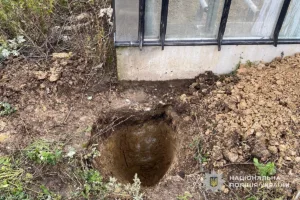 На Тернопільщині судитимуть підприємницю за незаконні теплиці