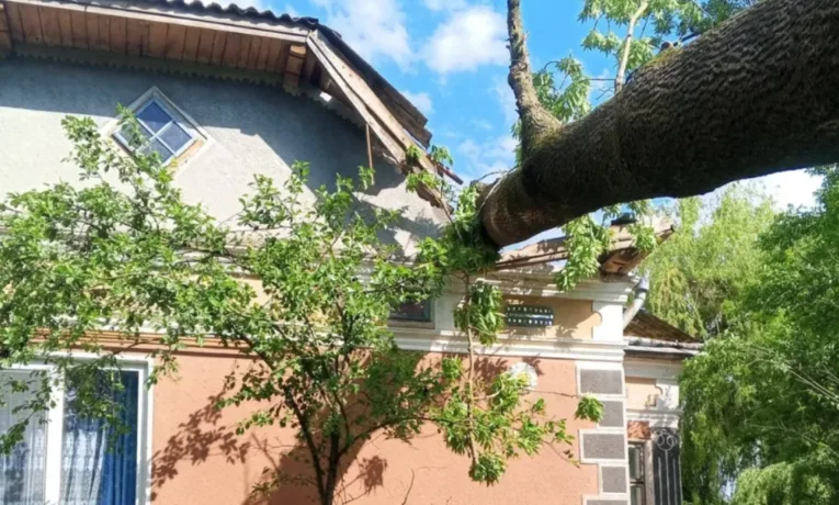 На Козівщині дерево впало на будинок