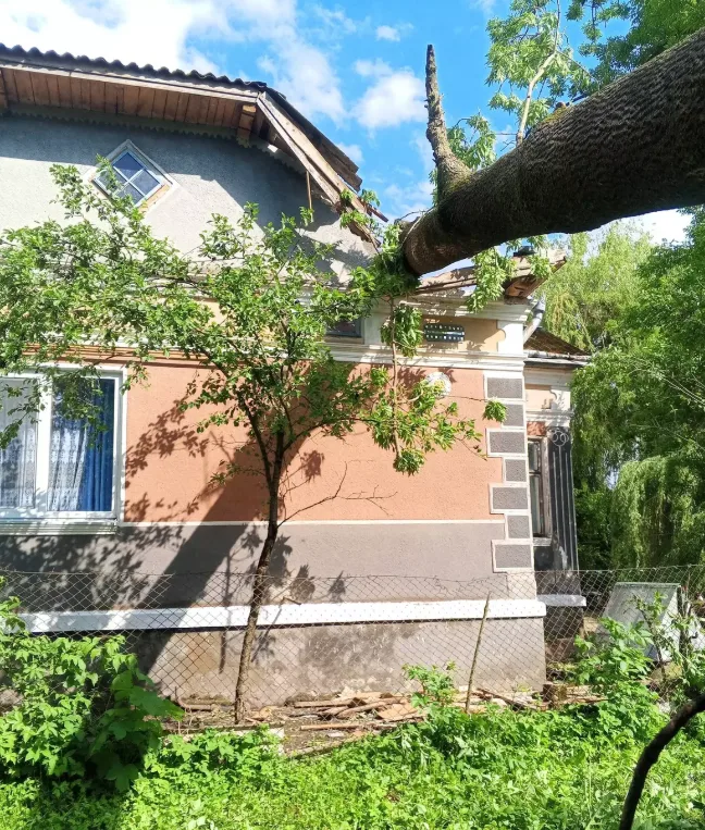 На Козівщині дерево впало на будинок