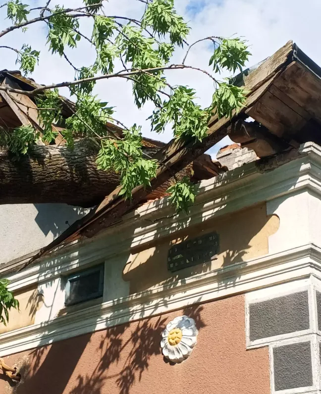 На Козівщині дерево впало на будинок