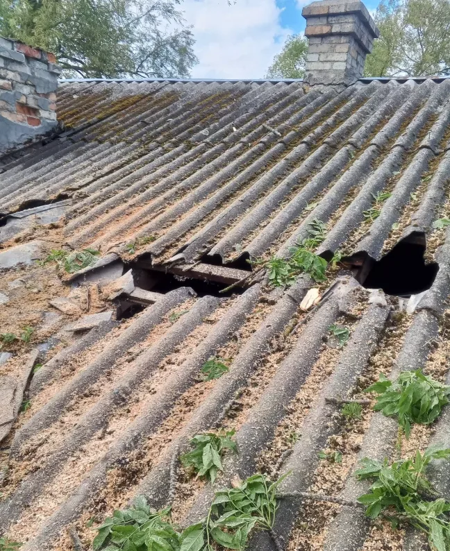 На Козівщині дерево впало на будинок