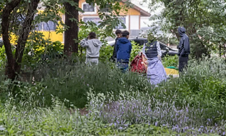 ромський табір