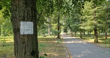 Нові туристичні маршрути з’являться у трьох громадах Тернопільщини