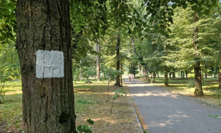Нові туристичні маршрути з’являться у трьох громадах Тернопільщини