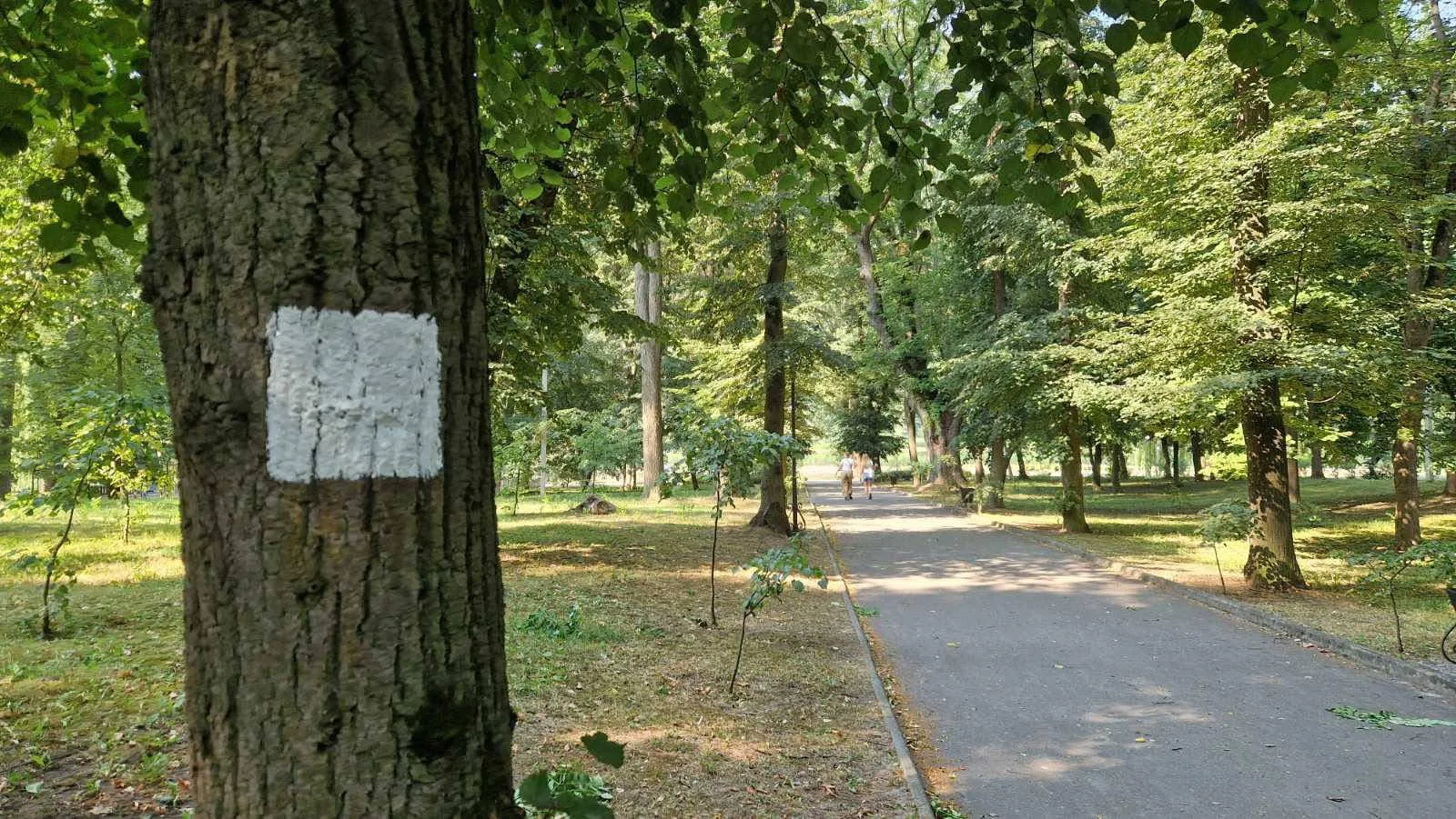 Нові туристичні маршрути з’являться у трьох громадах Тернопільщини