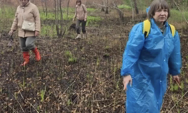 На Кременеччині виявили випалене унікальне карбонатне болото з рідкісними орхідеями