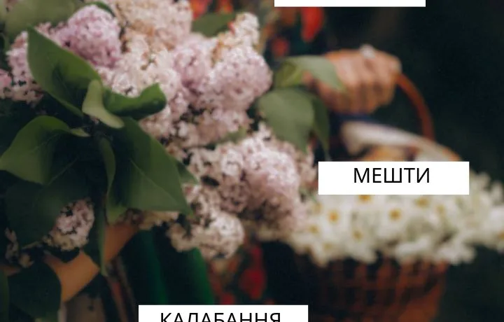 Діалекти Тернопільщини