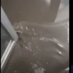 У Тернополі після зливи підтопило будинок на Коновальця: вода зайшла у під’їзд і підвал