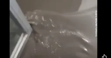 У Тернополі після зливи підтопило будинок на Коновальця: вода зайшла у під’їзд і підвал
