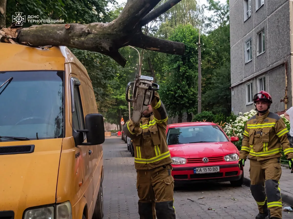 Дерево впало на авто