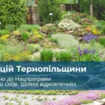 локації