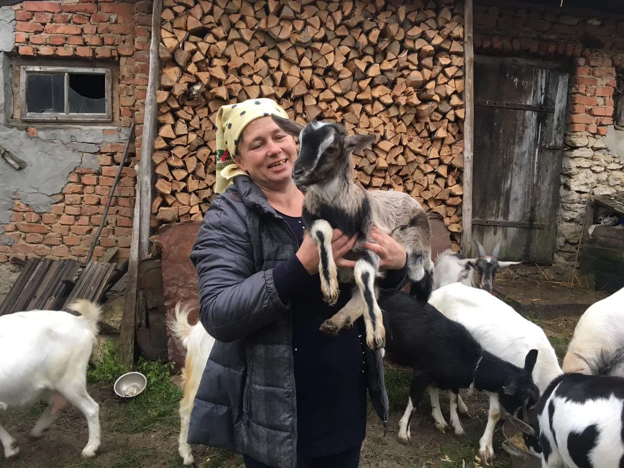 Люба і кози