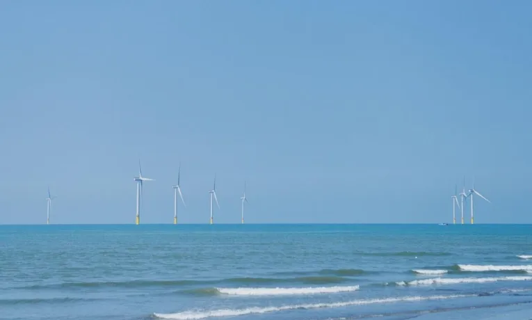 Як вітрові електростанції змінюють морську екосистему