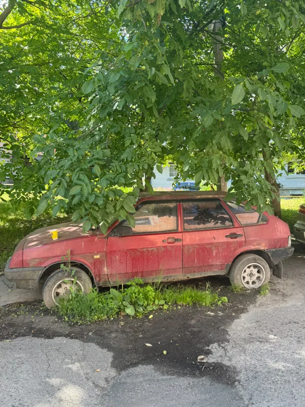 Занедбані авто