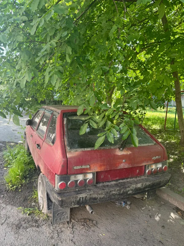 Занедбані авто