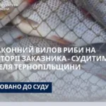 риба незаконна