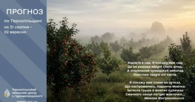 погода