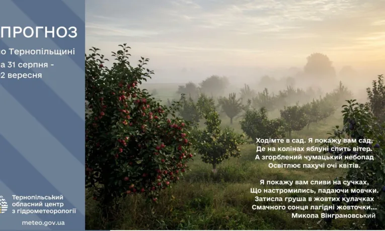 погода