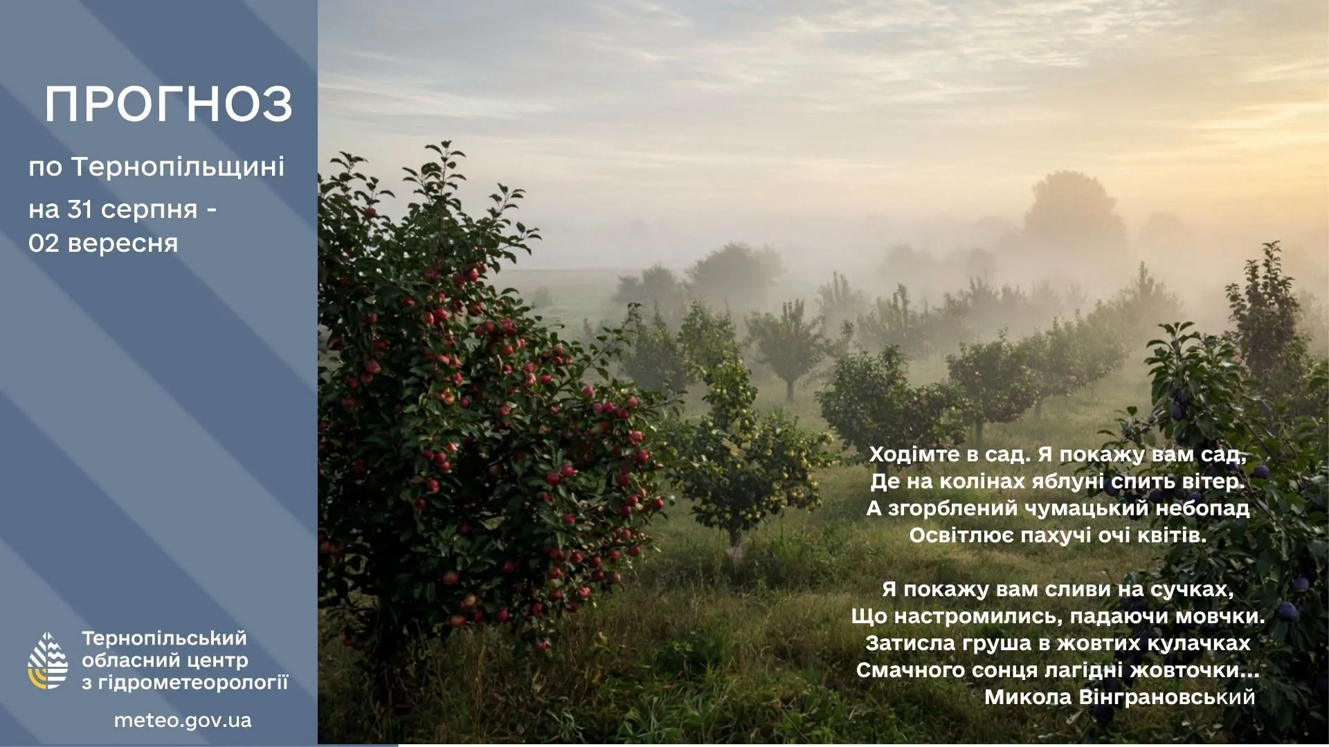 погода