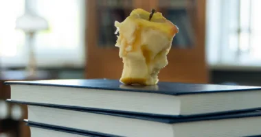 Чи можна їсти яблучні огризки: небезпека насіння