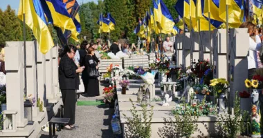 Соняхи памʼяті