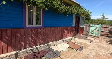Як родина перетворила занедбану хату на райський куточок