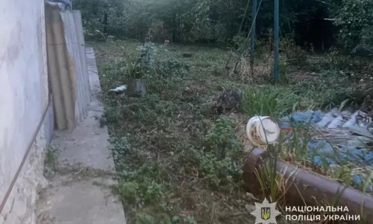 Застрелив кота