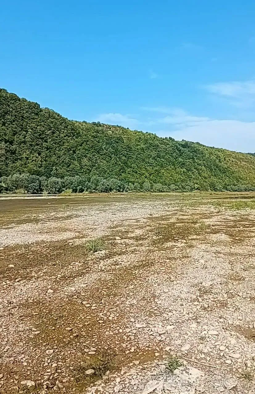 Дністер