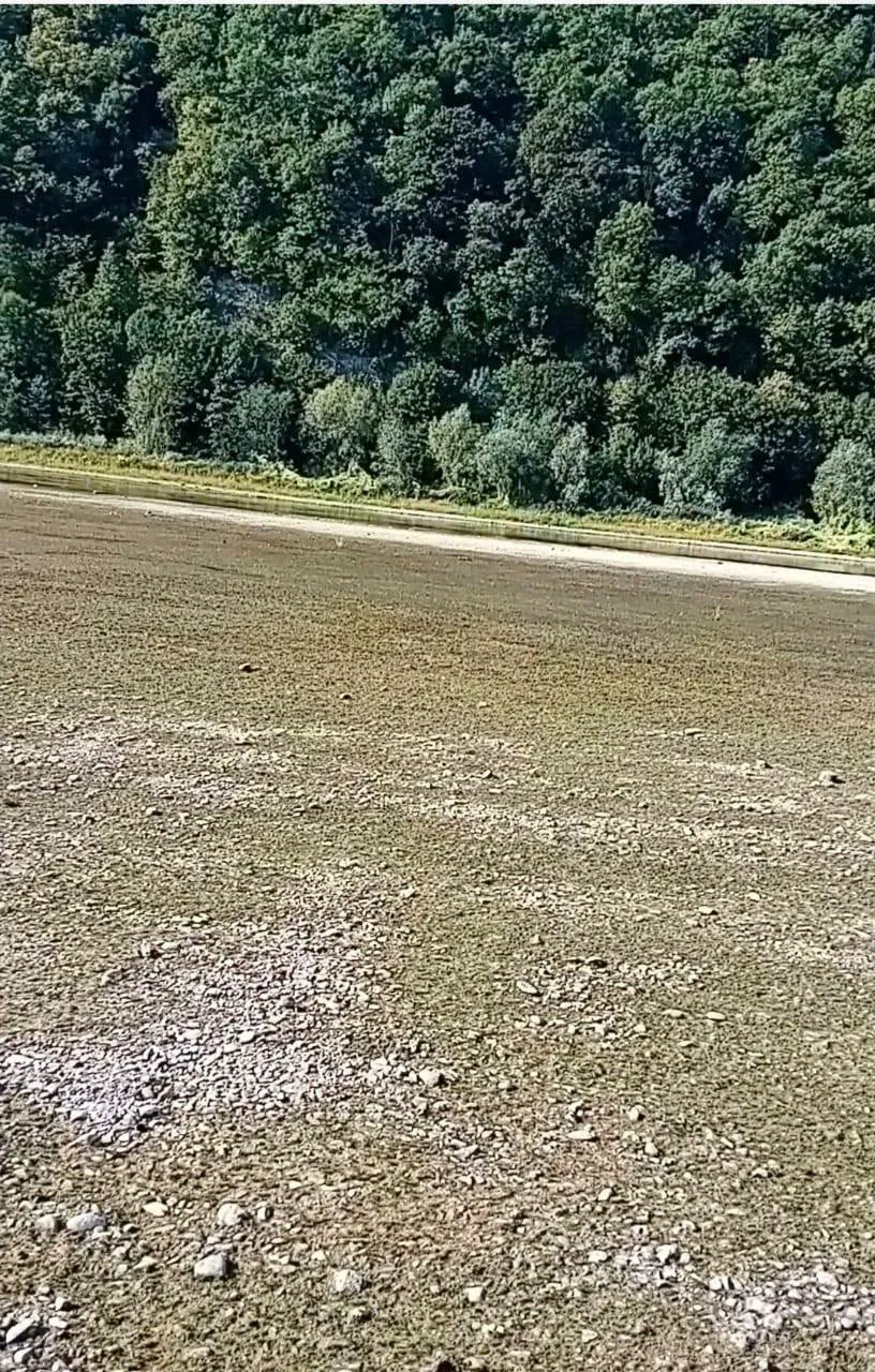 Дністер