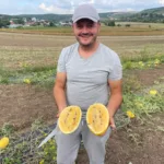кавуни Тернопільщина