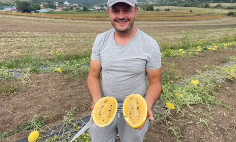 кавуни Тернопільщина