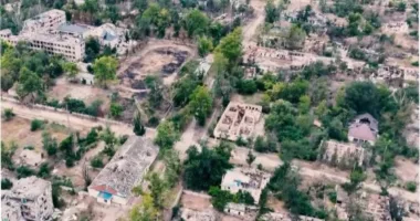 Голод у Олешках: жителі змушені їсти бур'яни