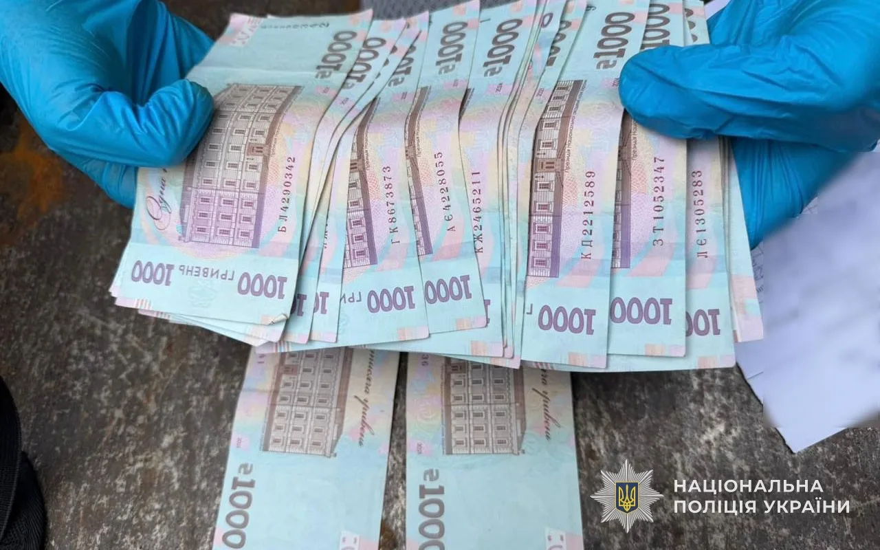 Саджанці