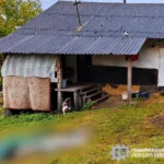 Бійка Тернопільщина