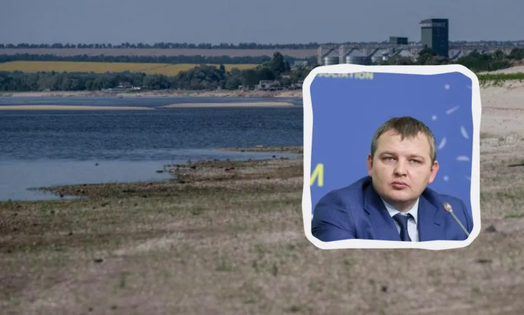 На місці Каховського моря виріс ліс: чи затоплять його?