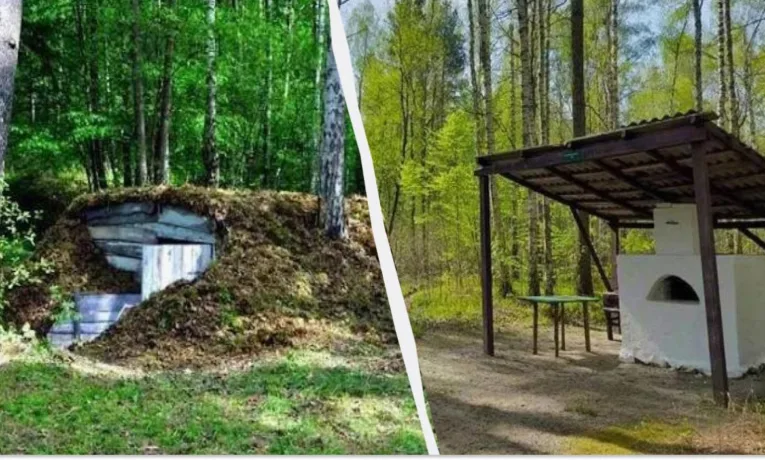Таємниці волинського лісу: де ховаються давні землянки