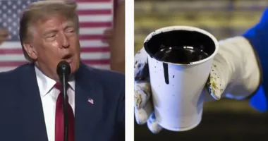 Трамп про ціни на пальне: чи винна війна в Україні?