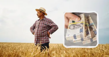 Вартість землі сільськогосподарського призначення в Україні
