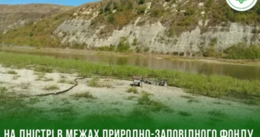 Дністер