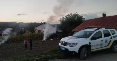 Палії трави