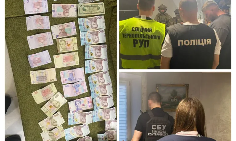 Фейкова інвалідність