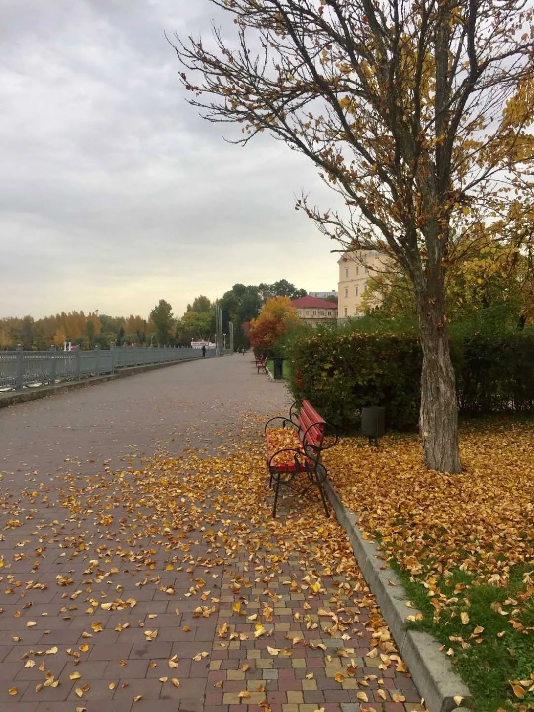 Осінь в Тернополі