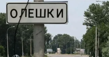 Гуманітарна місія в Олешках: Сили оборони оголосили тишу