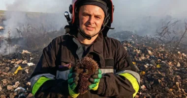 Рятувальники