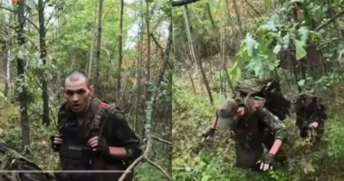 На Сумщині ЗСУ взяли в полон 29 російських окупантів