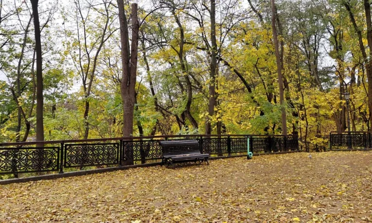 Погода у Києві: на вихідні очікується потепління до +18°