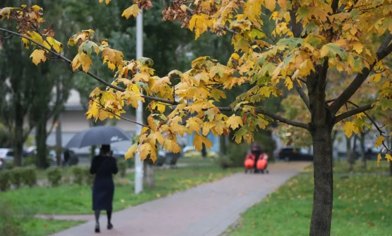 Погода в Києві 16 жовтня: чого очікувати мешканцям