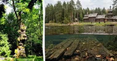Таємниче озеро на Поліссі: легенда про дубове дно