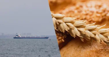 Україна розширює зерновий коридор: нові деталі переговорів